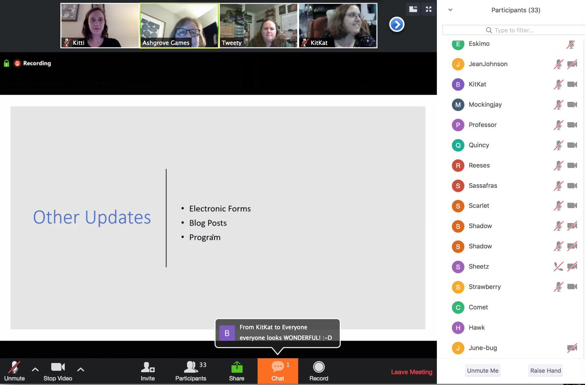 agenda and list of attendees at a zoom task group meeting