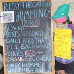 Bean stands before chalkboard reading "Ruby-Throated Hummingbird - 60 wing beats/second - only bird that fly backwards - likes red and orange blowers - only Hummer in the East" and carries sign "Cross a Hummingbird with a Doorbell? What do you get when you"
